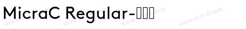MicraC Regular字体转换